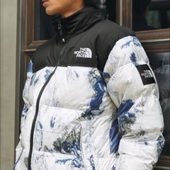 L✨激シブ✨THE NORTH FACE✨ノースフェイス✨ダウン...