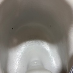 バンボ　グレーの画像