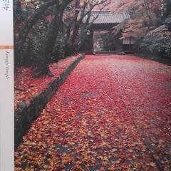 京都の紅葉名所の写真集の画像