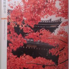 京都の紅葉名所の写真集の画像
