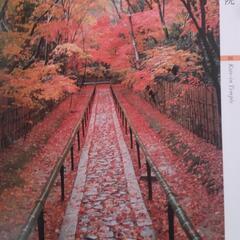 京都の紅葉名所の写真集の画像