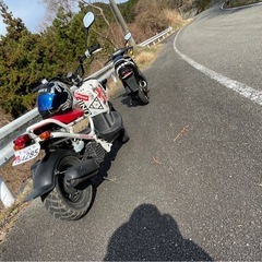 HONDA ズーマー　スペシャルエディションワン
オーナー 