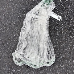 カラスの網ちゃん