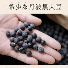 丹波黒大豆　200g A級品(大粒　中粒)数量限定⭐️