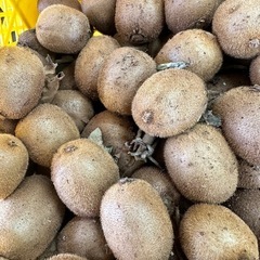 キウイフルーツ、ゆず　　一粒50円