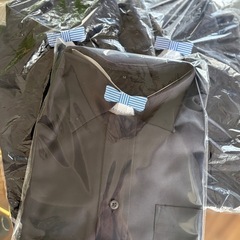 【未使用】メンズ黒シャツMサイズ4枚セット