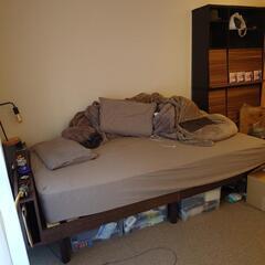 【受け付け停止中】NITORI スプリングセミダブル マットレスの画像