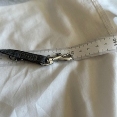 ペット用ハーネスとリードの画像