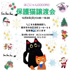 保護猫　譲渡会お知らせ📢