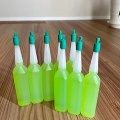 ガジュマル 、コーヒーの木、モンステラのセットの画像