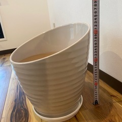 植木鉢の画像