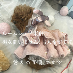 東京都内 3人でルームシェア仲間募集 犬猫もいます︎✿
