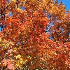 初心者🔰登山、ハイキングしませんか
