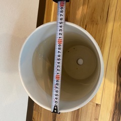 三宮に取りに来れる方！植木鉢の画像