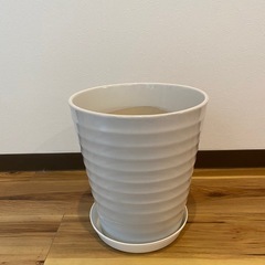 三宮に取りに来れる方！植木鉢