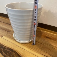 三宮に取りに来れる方！植木鉢の画像