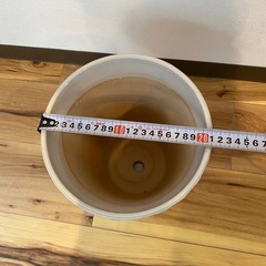 植木鉢の画像