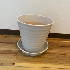 三宮に取りに来れる方！植木鉢