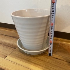 三宮に取りに来れる方！植木鉢の画像