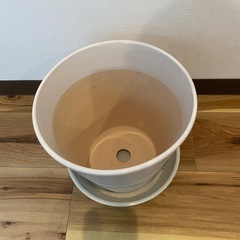 三宮に取りに来れる方！植木鉢の画像