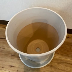 三宮に取りに来れる方！植木鉢の画像