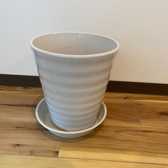 三宮に取りに来れる方！植木鉢
