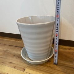 三宮に取りに来れる方！植木鉢の画像