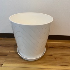 三宮に取りに来れる方！植木鉢