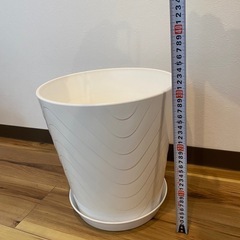 三宮に取りに来れる方！植木鉢の画像