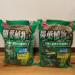 観葉植物の土２つセット