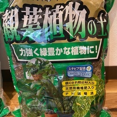 観葉植物の土２つセットの画像