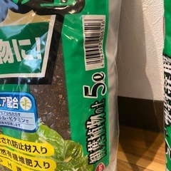 観葉植物の土２つセットの画像