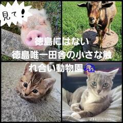 ☆田舎の小さなふれあい動物園☆