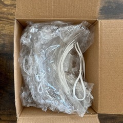 プラスチックマスク　個別包装　残りの8個入りの画像