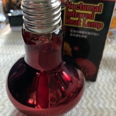 爬虫類ライト100W(未使用、新品)訳有りジャンク品の画像