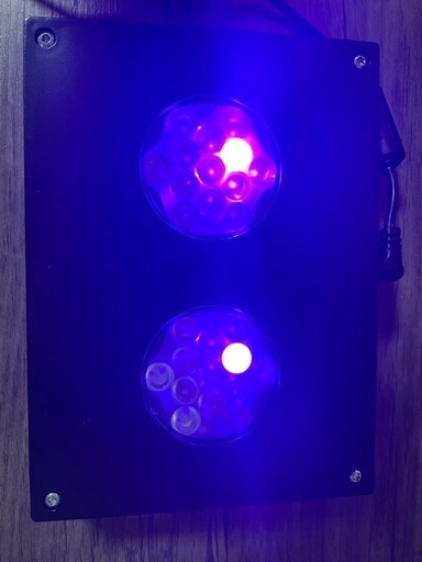AI Hydra 26HD LED