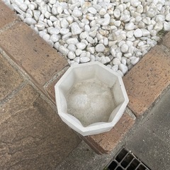 モルタル製の器の画像