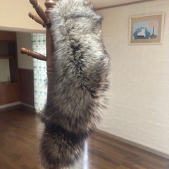 狐の襟巻き