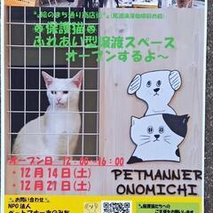 12月14日ふれあい型譲渡スペースオープン