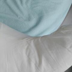 【お取り引きの方決定しました】青葉　ベビハグ　授乳クッションの画像