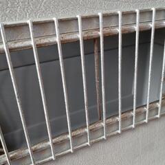 バリケン　Lサイズ　大型犬用の画像