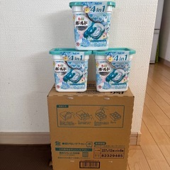 レノア　ボールド　