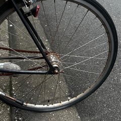 tokyobike シングルスピードM クロモリの画像