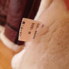 最終値下げ。ムートンジャケットの画像