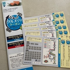 市内電車&富山港線1日乗り放題券　　ぐるっとグルメグリクーポン　...
