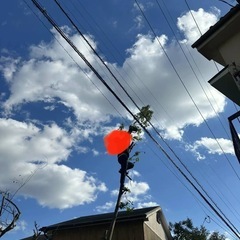 樹の伐採 草刈り 