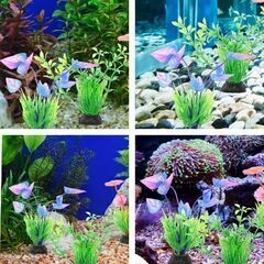 アクアリウム用人工水草4個とカルキ抜きセット（新品）の画像