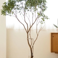 EDA VASE コンパクト花器の画像