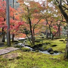 グループメンバーさん追加募集✨ - 京都市