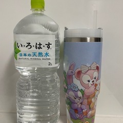 未使用品 大きめ タンブラー ディズニーの画像
